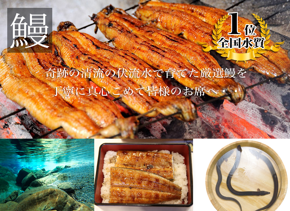 清流四万十川や仁淀川が流れる高知県で育てた厳選鰻を 丁寧に真心こめて皆様のお席へ・・