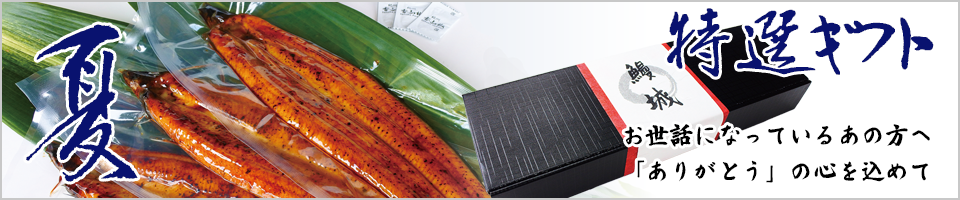 特選ギフト